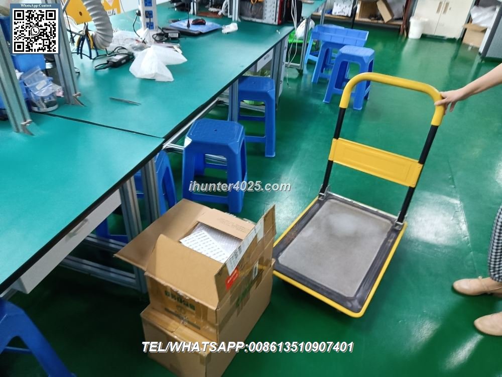 MAIKONG NLS Metatron 4025 Prolife Scan