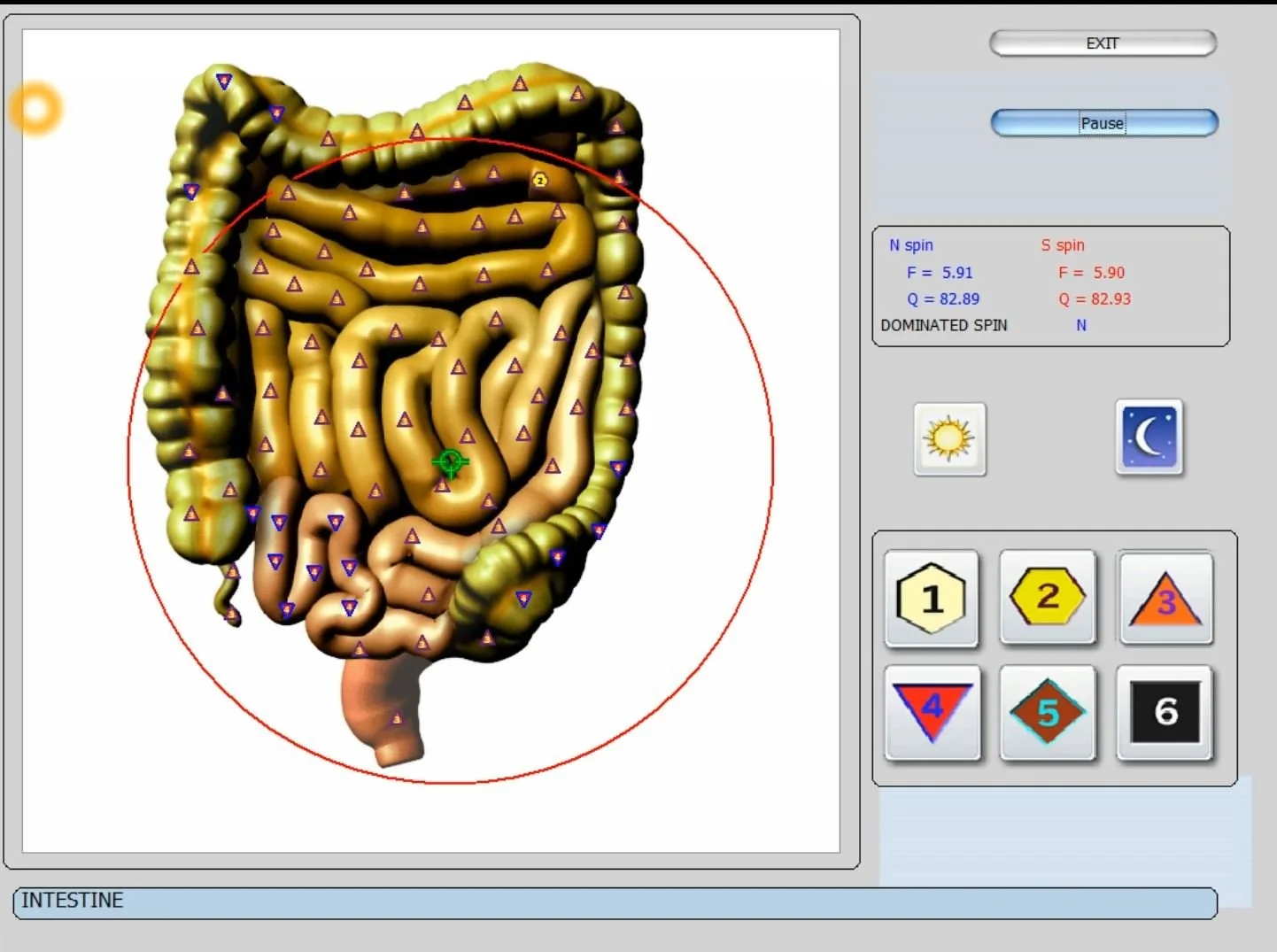 Ar „Biophilia Intruder“ NLS aparatas realiai suteikia „greitesnį virusų skenavimą“? Praktinis vadovas distributoriui Lietuvoje — vector 8d 9d nls software (34).JPG