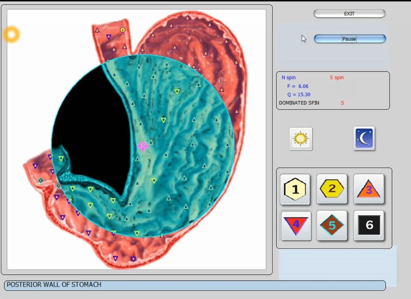 Ar „Biophilia Intruder“ NLS aparatas realiai suteikia „greitesnį virusų skenavimą“? Praktinis vadovas distributoriui Lietuvoje — vector 8d 9d nls software (24).JPG