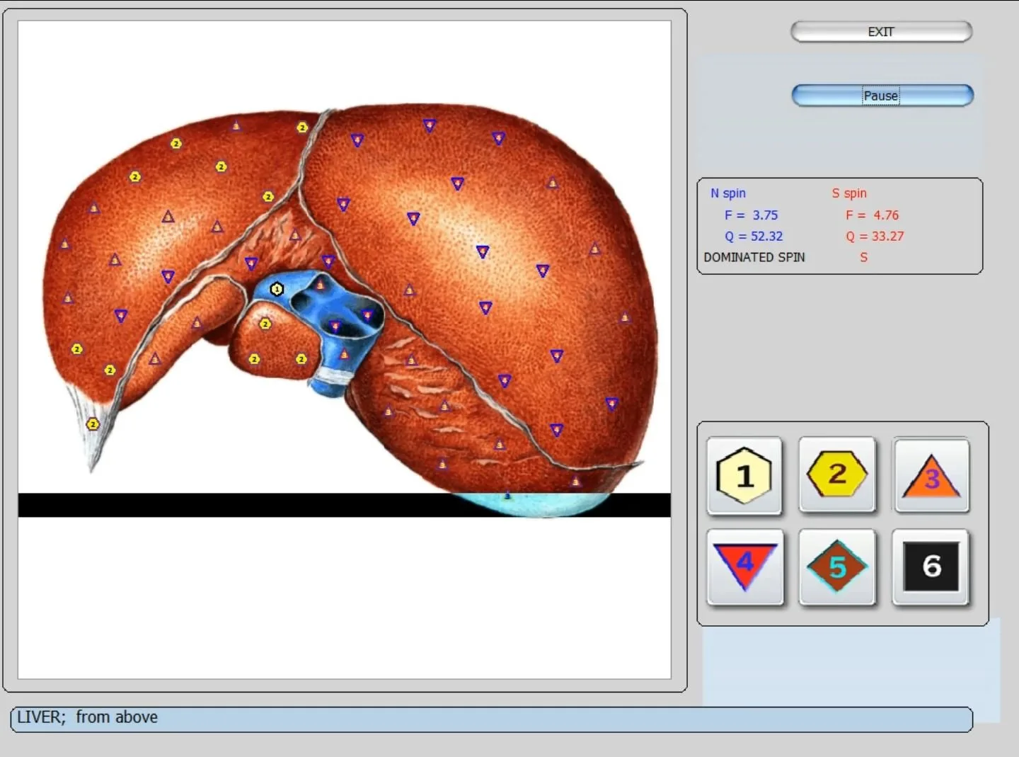 Ar MAIKONG gamina Biophilia Tracker / Intruder / Guardian? Greitas atsakymas regioniniam agentui Lietuvoje — vector 8d 9d nls   software (15).JPG
