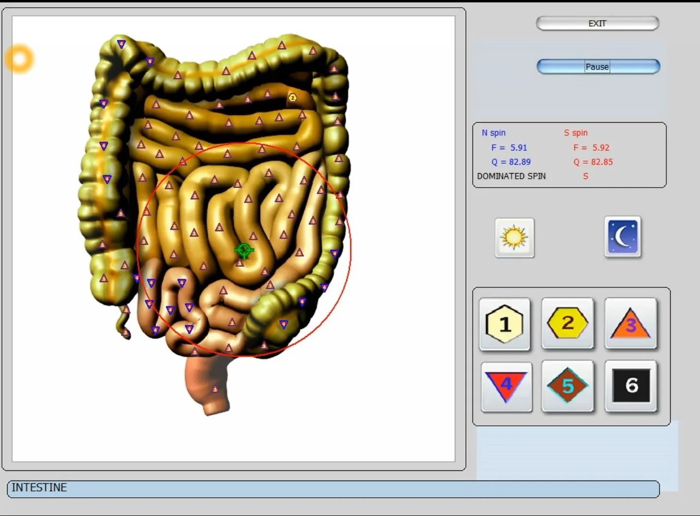 Ar MAIKONG gamina Biophilia Tracker / Intruder / Guardian? Greitas atsakymas regioniniam agentui Lietuvoje — vector 8d 9d nls   software (31).JPG