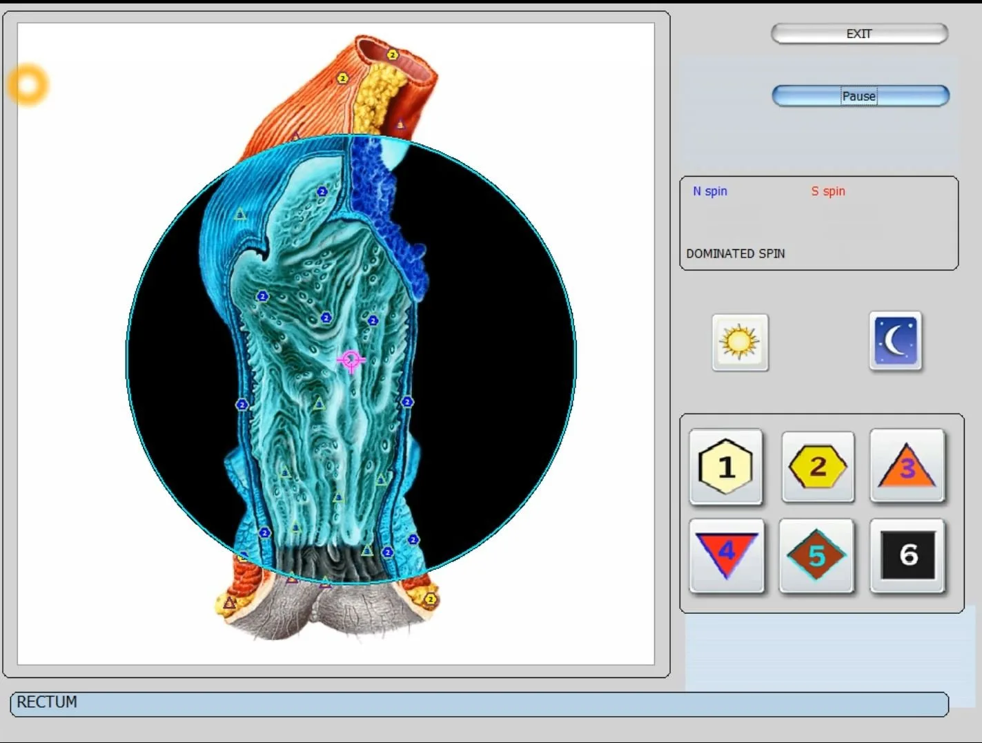 Kokios rizikos ir galimos nepageidaujamos reakcijos pacientams po biorezonanso seansų su Metatron įranga? — vector 8d 9d nls software (42).JPG