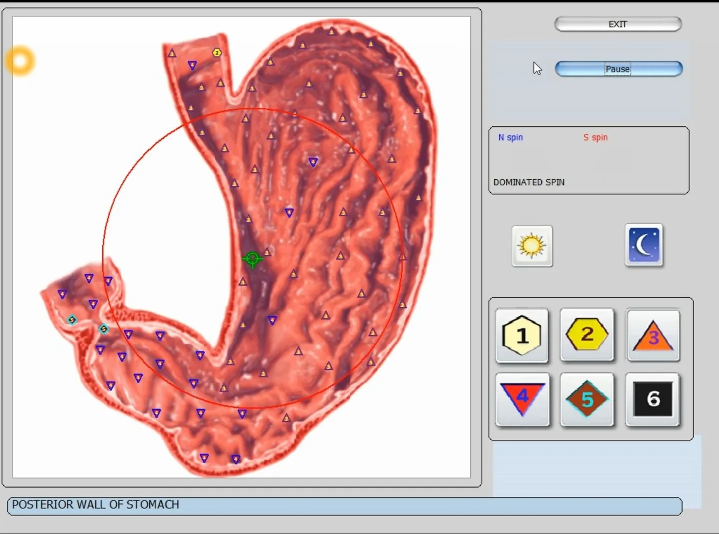 Ar „Biophilia Intruder“ NLS aparatas realiai suteikia „greitesnį virusų skenavimą“? Praktinis vadovas distributoriui Lietuvoje — vector 8d 9d nls software (23).JPG