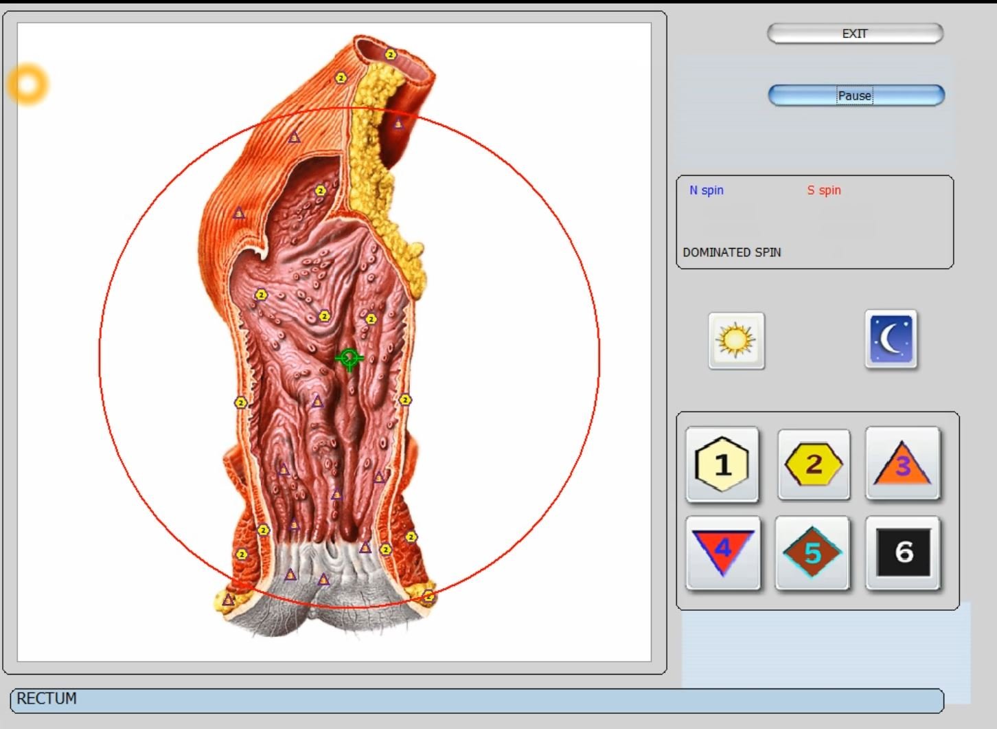 Ar MAIKONG gamina Biophilia Tracker / Intruder / Guardian? Greitas atsakymas regioniniam agentui Lietuvoje — vector 8d 9d nls   software (41).JPG