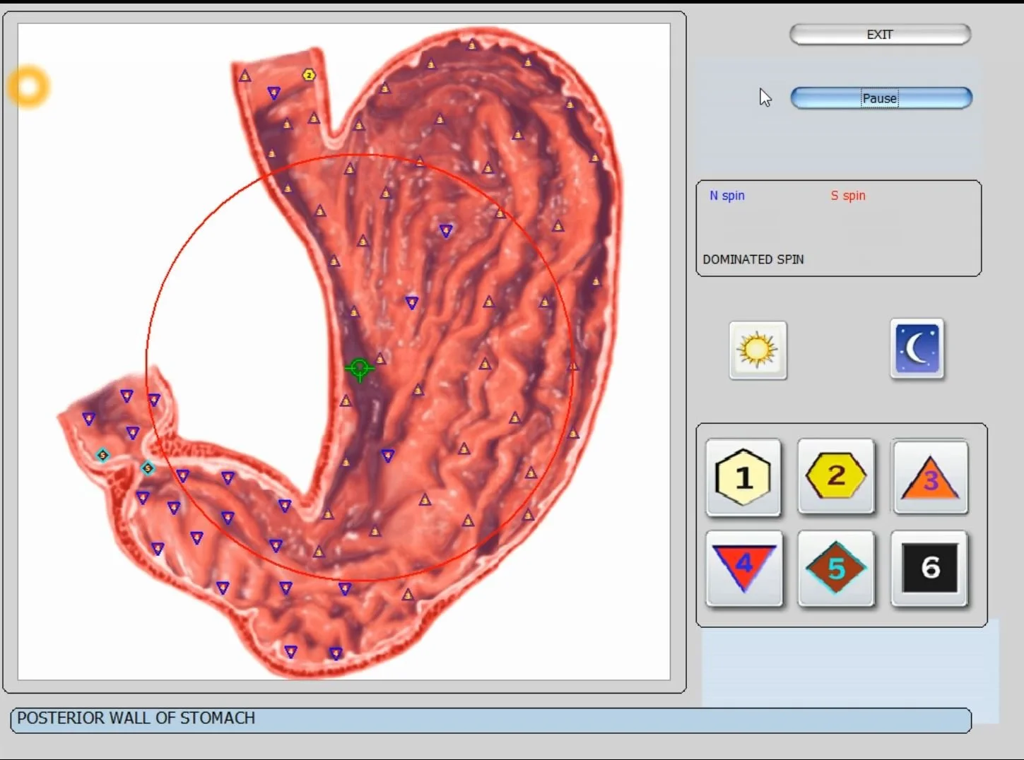 Ar PLASMA GENERATOR PT-2 (NLA‑SYSTEMS) tinka reabilitacijos centrui Lietuvoje? Greitas atsakymas ir praktinis vertinimo planas — vector 8d 9d nls software (23).JPG